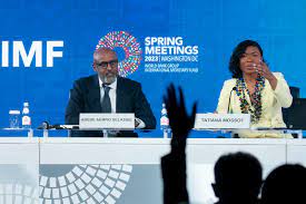 The sheer survival of IMF and world bank depends on African failure – Arikana Chihombori